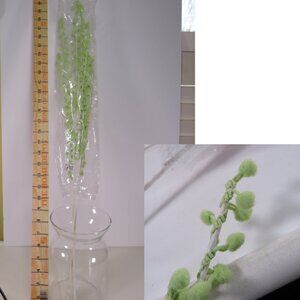 Mint Green (2) sets Catkins Spring Floral Accents 30" long (unbent)